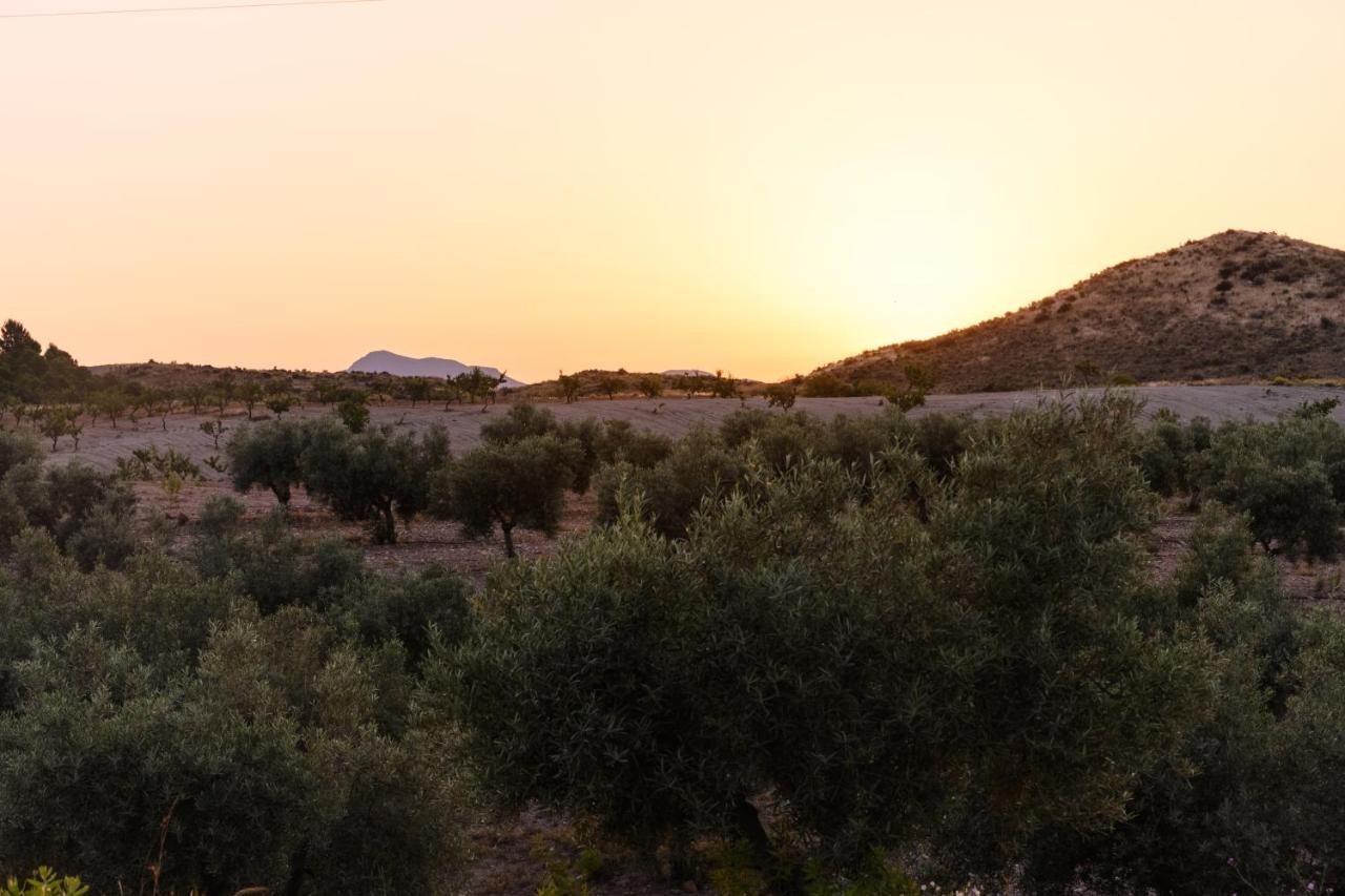 Complejo Rural Sol De Taberno Guest House Exterior photo